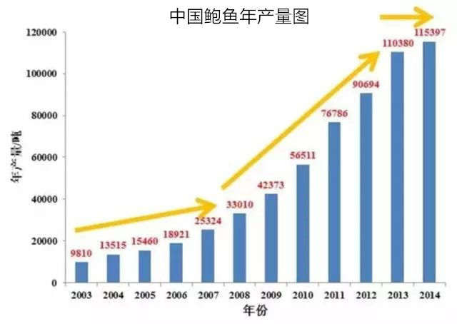 中国鲍鱼年产量